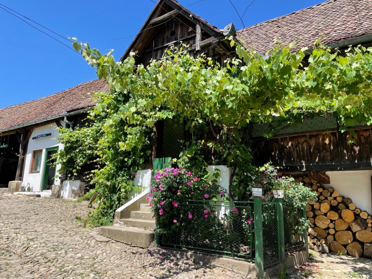 Saschiz 130/Lodging And Glamping Kültér fotó