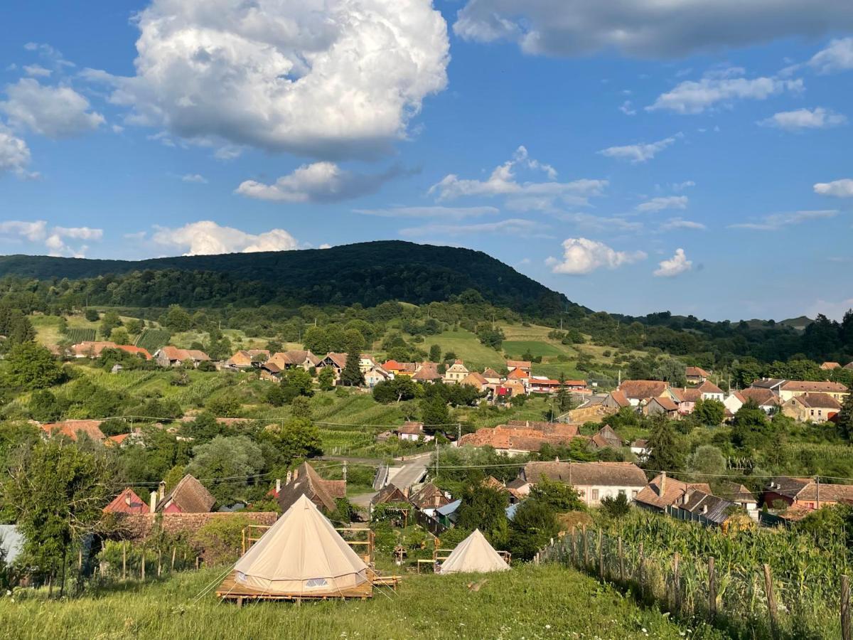 Saschiz 130/Lodging And Glamping Kültér fotó
