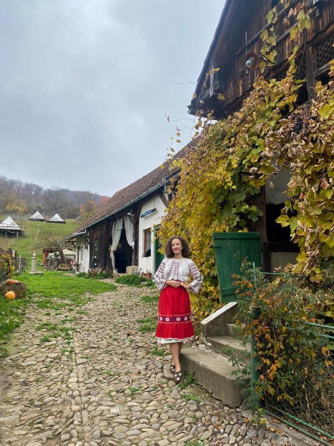 Saschiz 130/Lodging And Glamping Hotel Kültér fotó