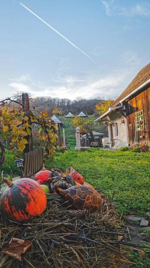 Saschiz 130/Lodging And Glamping Kültér fotó