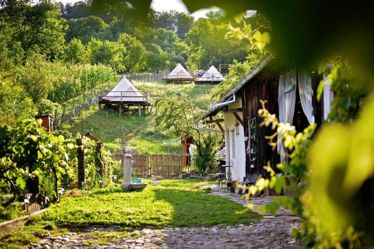 Saschiz 130/Lodging And Glamping Kültér fotó