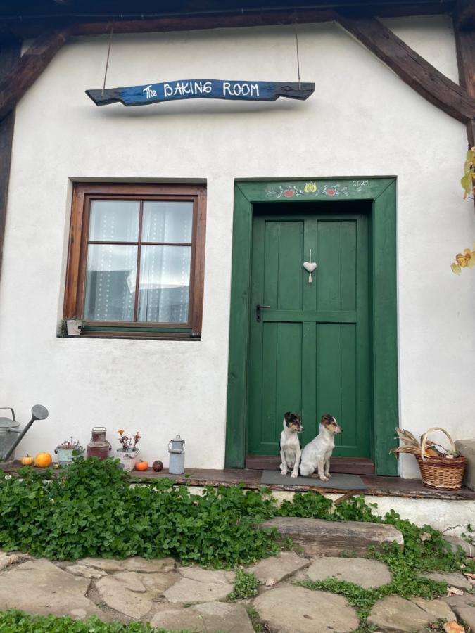 Saschiz 130/Lodging And Glamping Kültér fotó